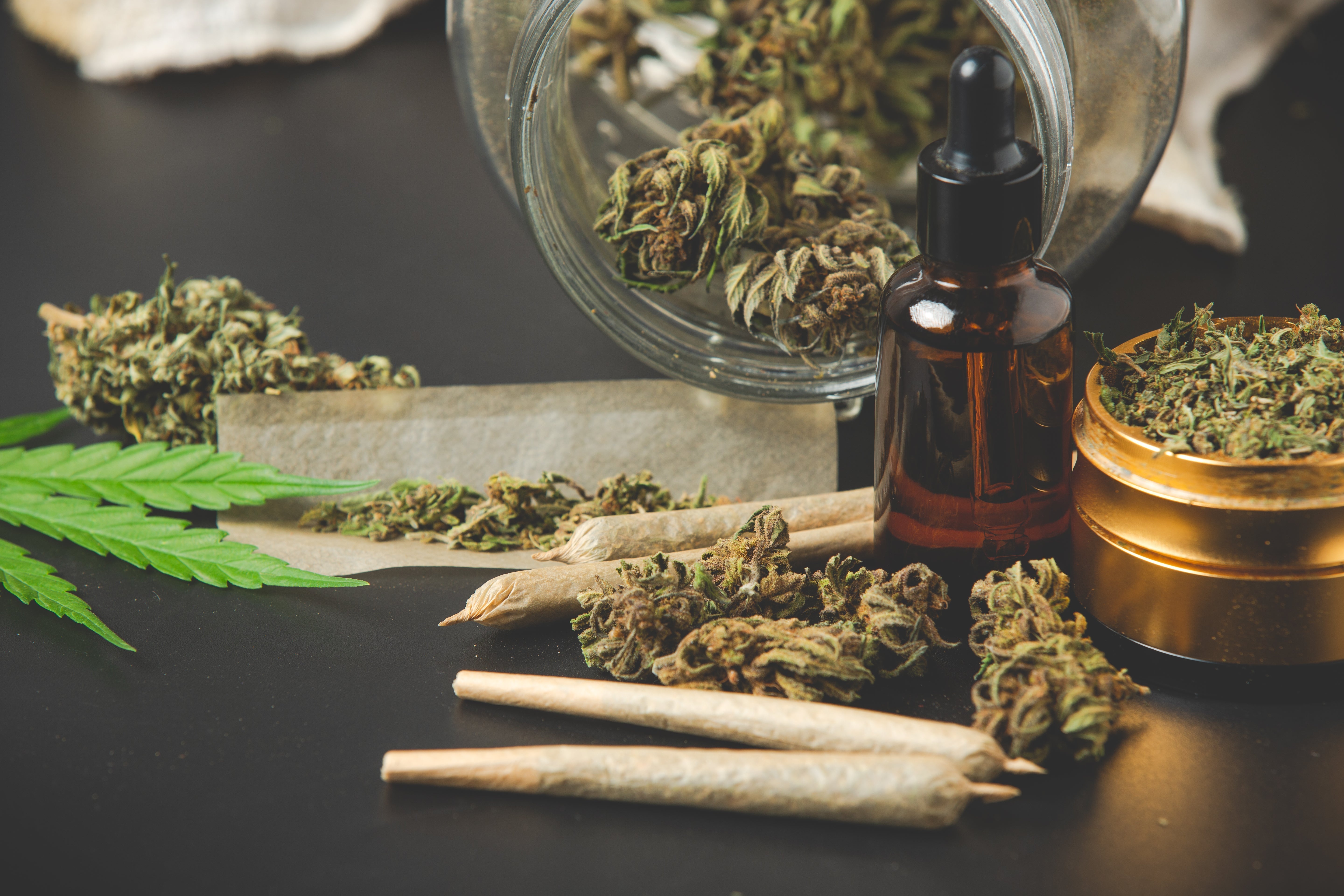 How to Choose the Best Organic THCa Flower for Your Needs