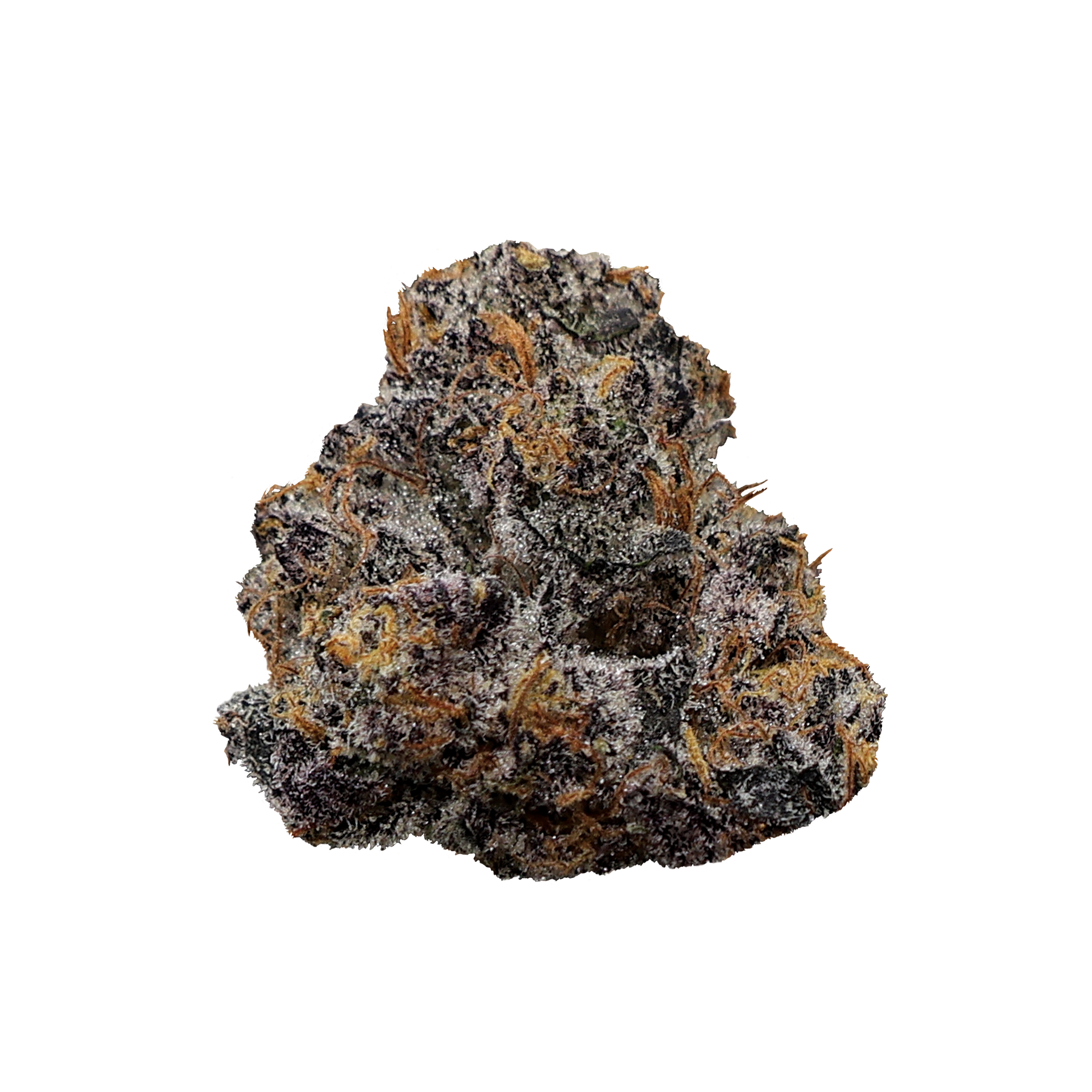 Close-up of Applescotti THCa Micro Smalls Flower by Miracle of the Desert, showing vibrant buds and trichomes.