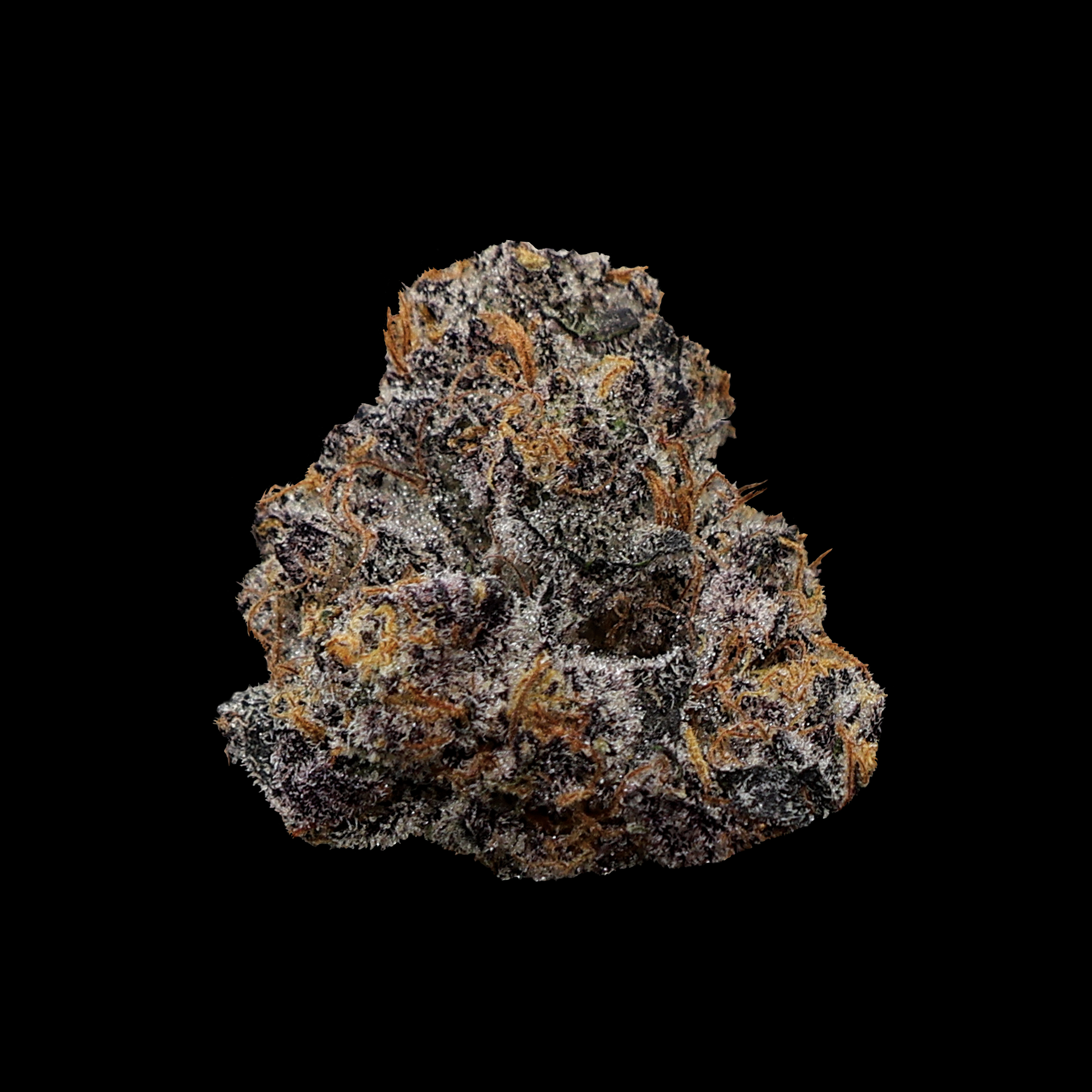 Close-up of Applescotti THCa Micro Smalls Flower from Miracle of the Desert, showing dense, colorful cannabis buds with trichomes.