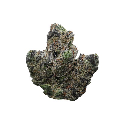 Miracle of the Desert Lemon Cherry Gelato THCA Flower small buds with vibrant orange and purple hues, fresh and resinous.