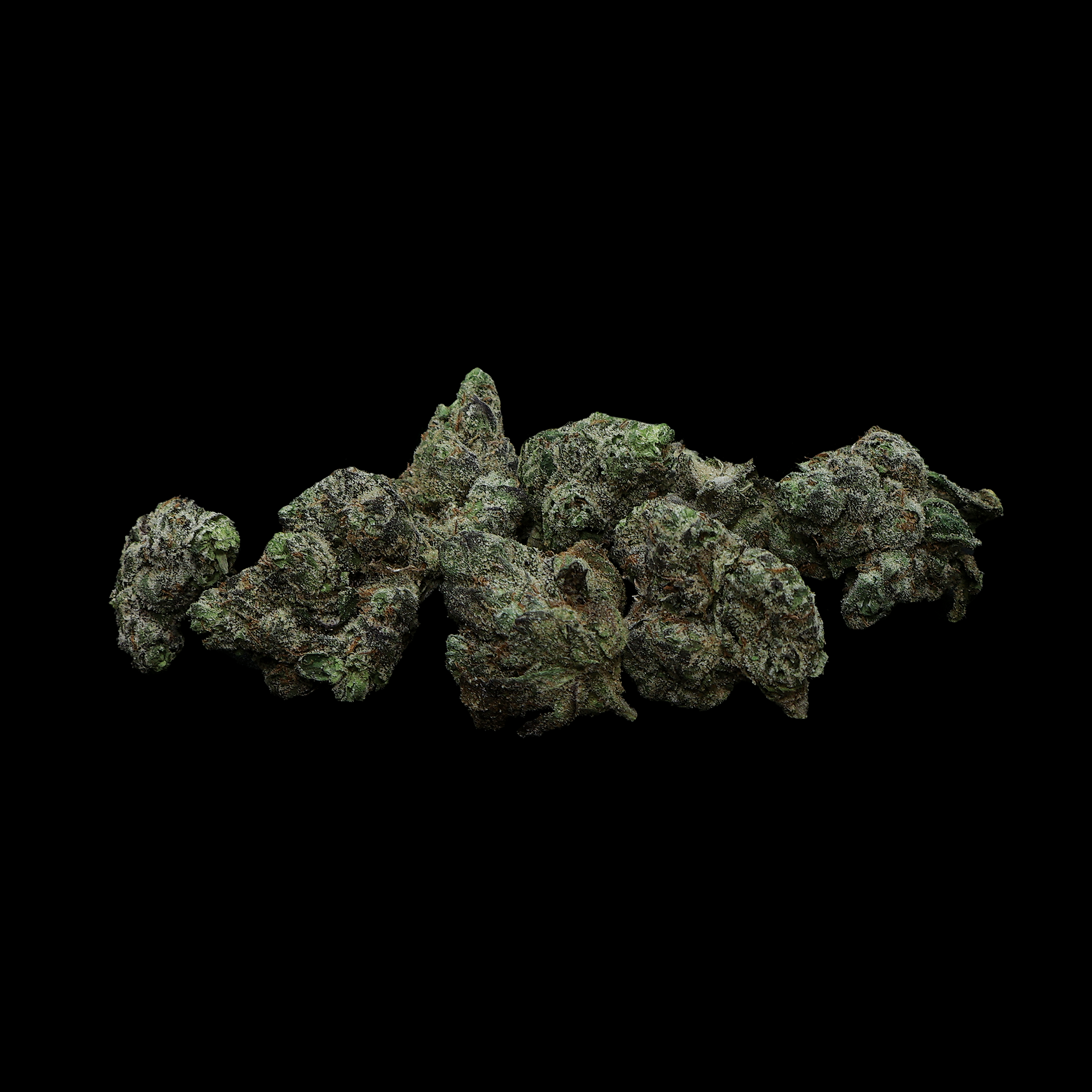 Lemon Cherry Gelato THCA flower small buds from Miracle of the Desert, showcasing vibrant green buds with orange hairs and frosty trichomes.