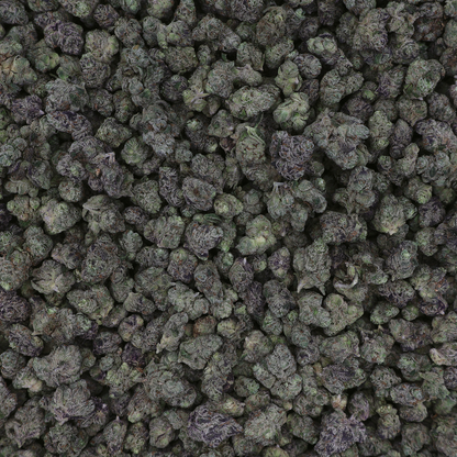 Mochi THCa flower from Miracle of the Desert, showcasing fresh, dense THCA cannabis buds with vibrant green and purple hues.