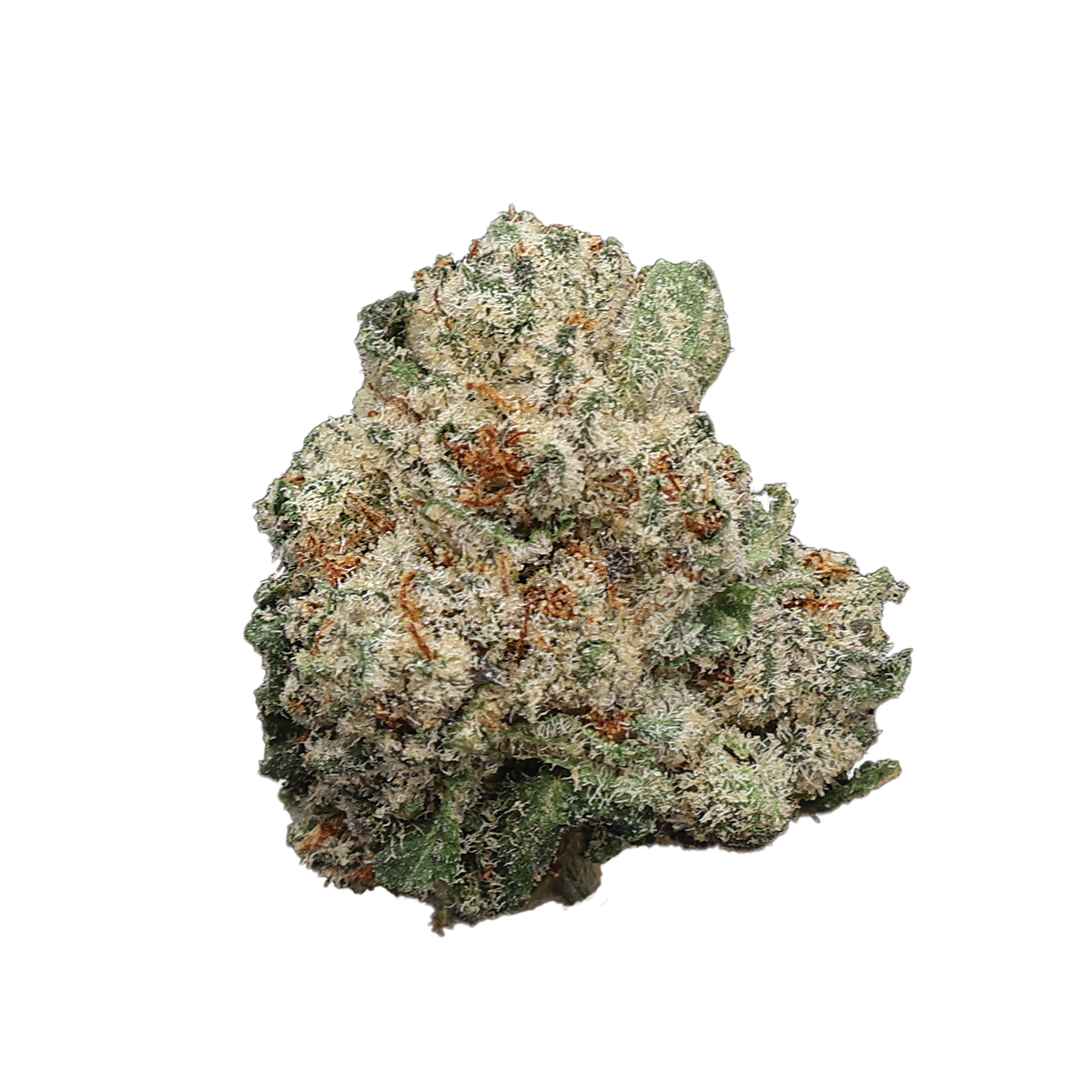Miracle of the Desert Bay City Runtz THCA Flower small buds with vibrant green and purple hues, showcasing dense, resin-coated cannabis flowers.