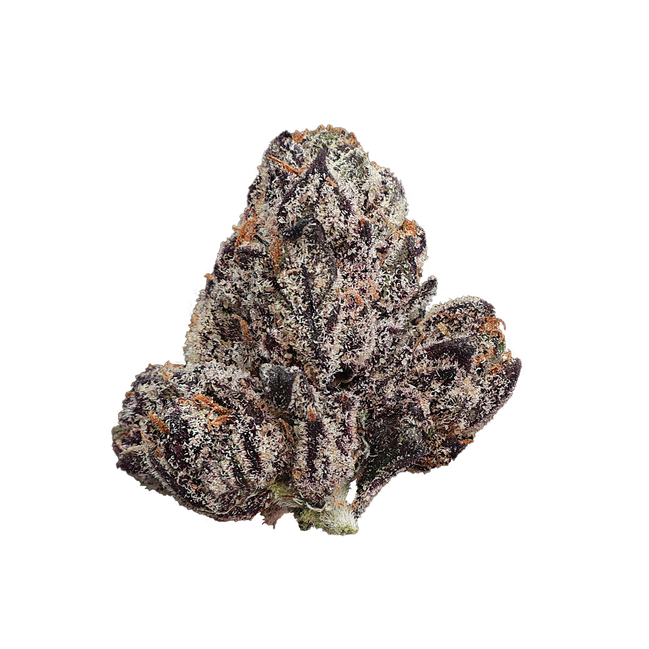 Close-up of Crunch Berries THCA Flower by Miracle of the Desert, showing vibrant buds and rich resin coating.