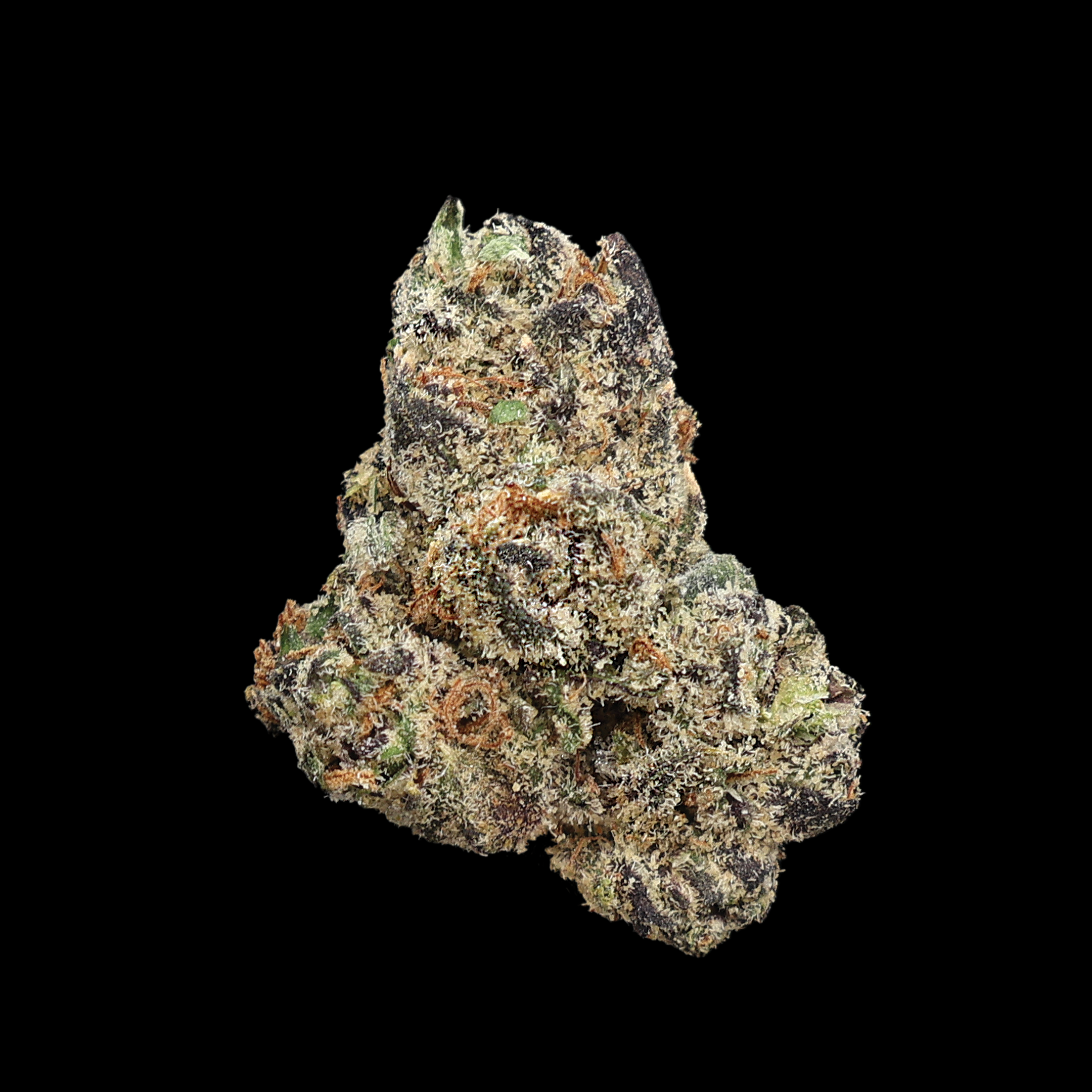 Miracle of the Desert Desert Fire OG THCA flower small buds with vibrant orange and green cannabis buds.