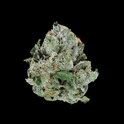 Blue Nerds THCA Flower by Miracle of the Desert, showcasing vibrant blue-green buds with dense trichomes and orange pistils.