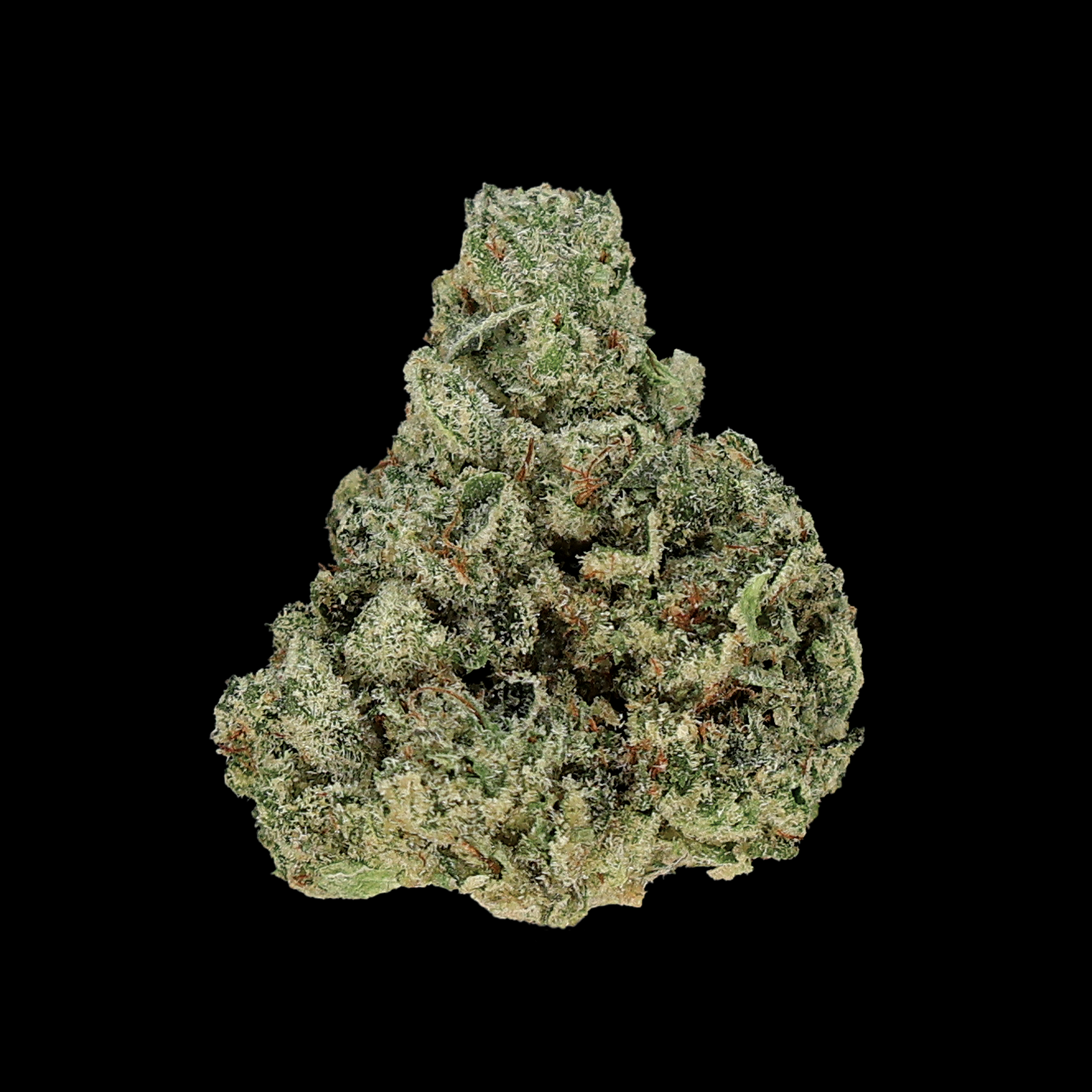 Miracle of the Desert Mystic Glue THCA Flower small buds with vibrant green and purple hues, dense and resinous.