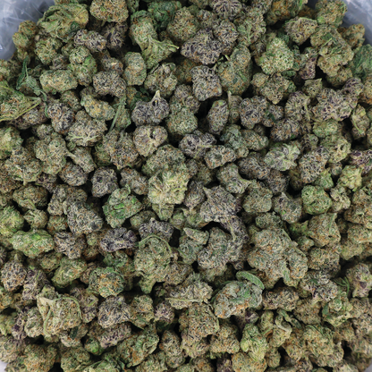 Purple Moonwalker THCA flower by Miracle of the Desert, small buds with vibrant purple hues and dense cannabis buds.