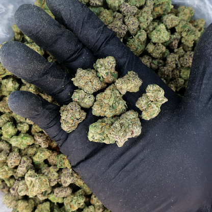 Purple Moonwalker THCa Flower by Miracle of the Desert, close-up of vibrant purple buds with trichomes and green leaves.