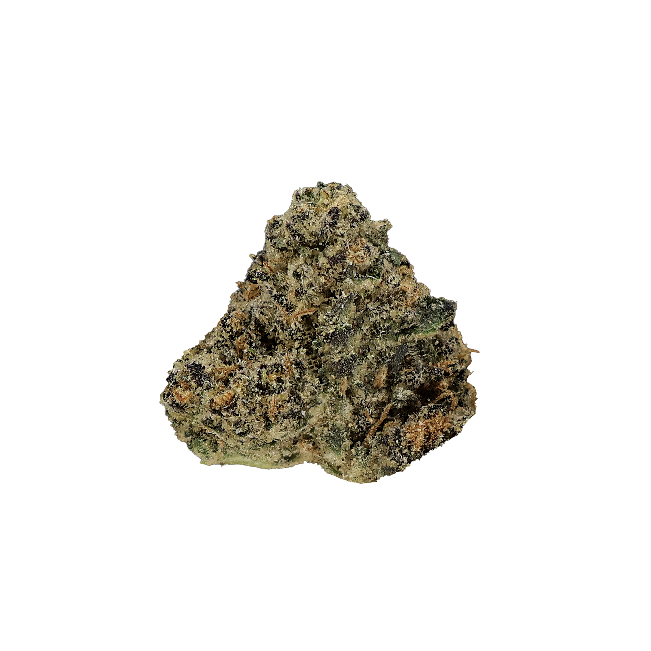 Miracle of the Desert Applescotti THCA Flower small buds with vibrant green and orange hues, fresh and aromatic cannabis flower.