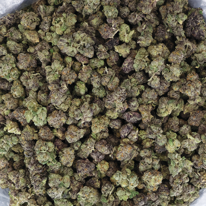 Blue Burst THCA Flower by Miracle of the Desert, small buds with vibrant blue hues and dense cannabis flower texture.