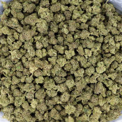 Gascotti THCa flower by Miracle of the Desert, close-up of small cannabis buds with vibrant green and purple tones.
