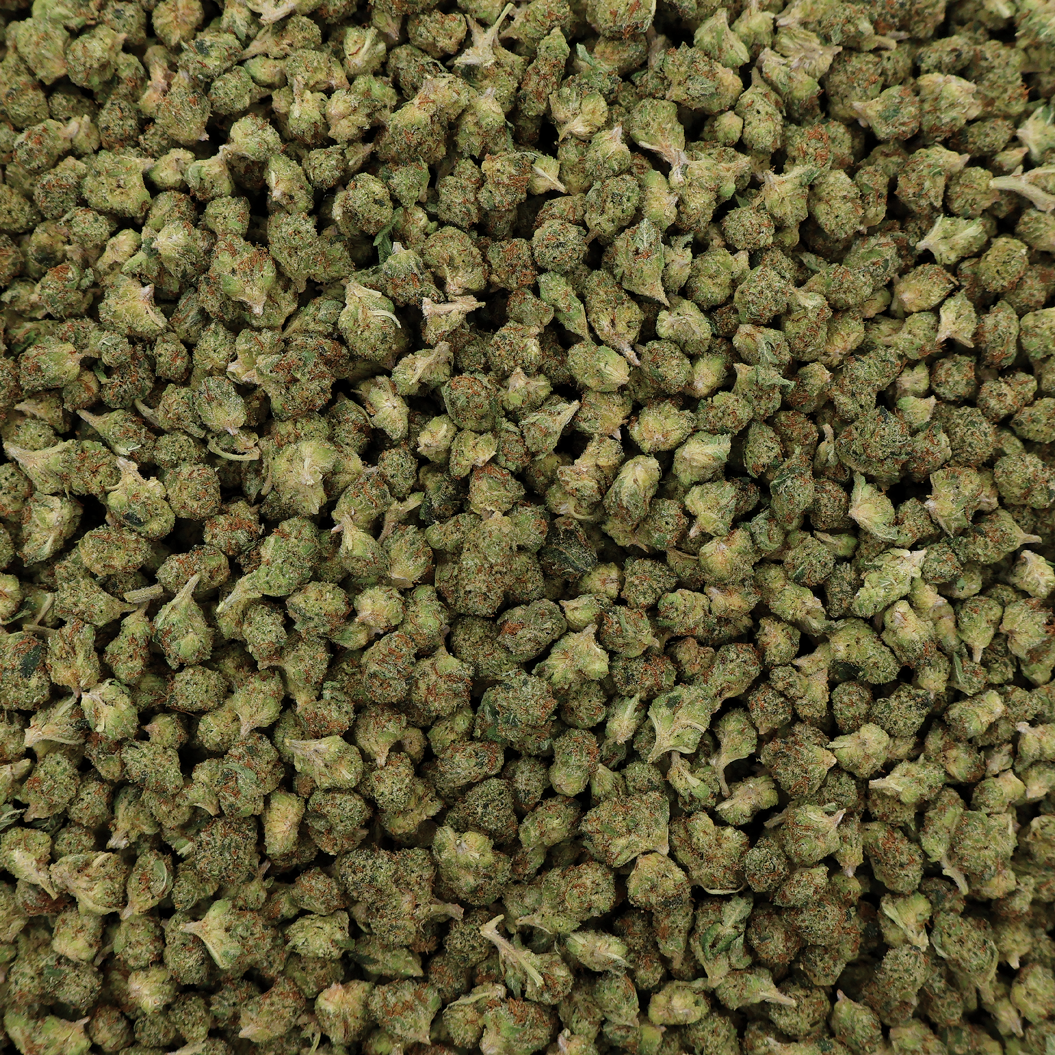 Garlic Runtz THCa Micro Smalls Flower