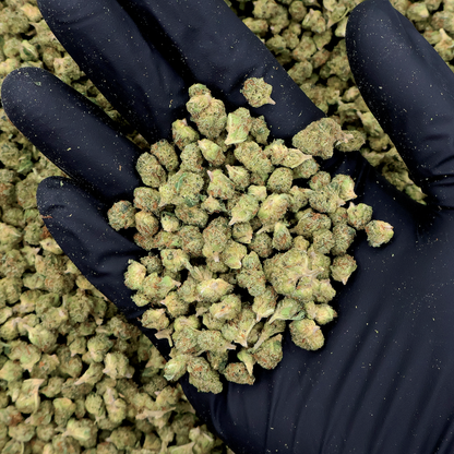 Garlic Runtz THCa Micro Smalls Flower