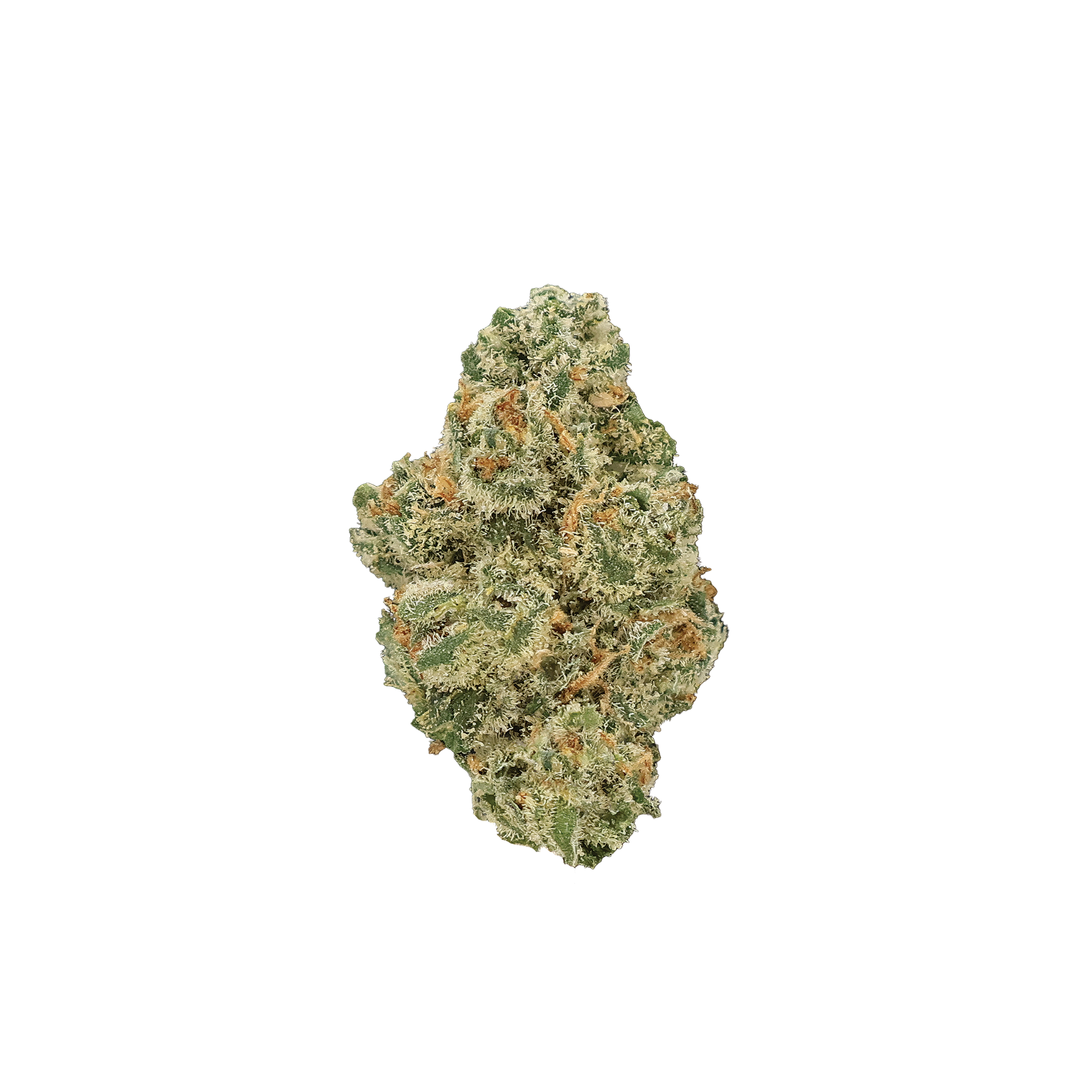 Miracle of the Desert Jack Herer THCA flower small buds with green and orange hues, showcasing dense, resinous cannabis buds.