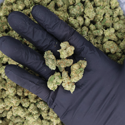Miracle of the Desert Jack Herer THCa Flower small buds with vibrant green and orange hues, fresh and aromatic cannabis product.