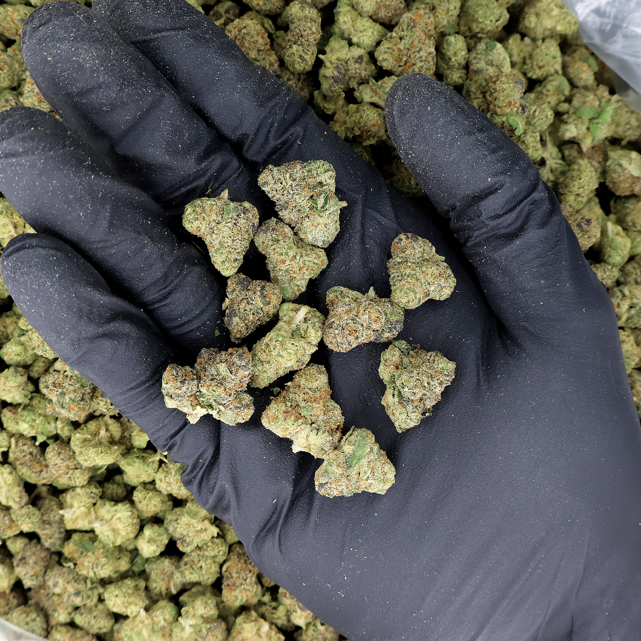 Zkittlez THCa Smalls Flower