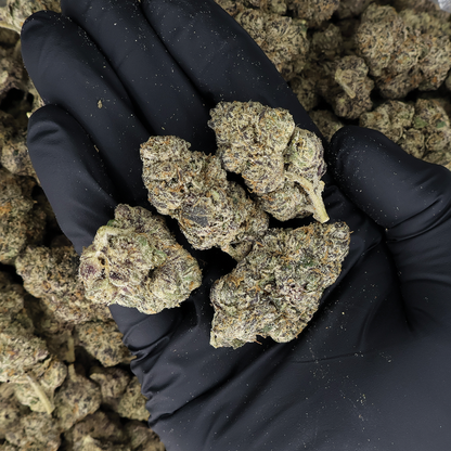 Blueberry Caviar THCa Flower