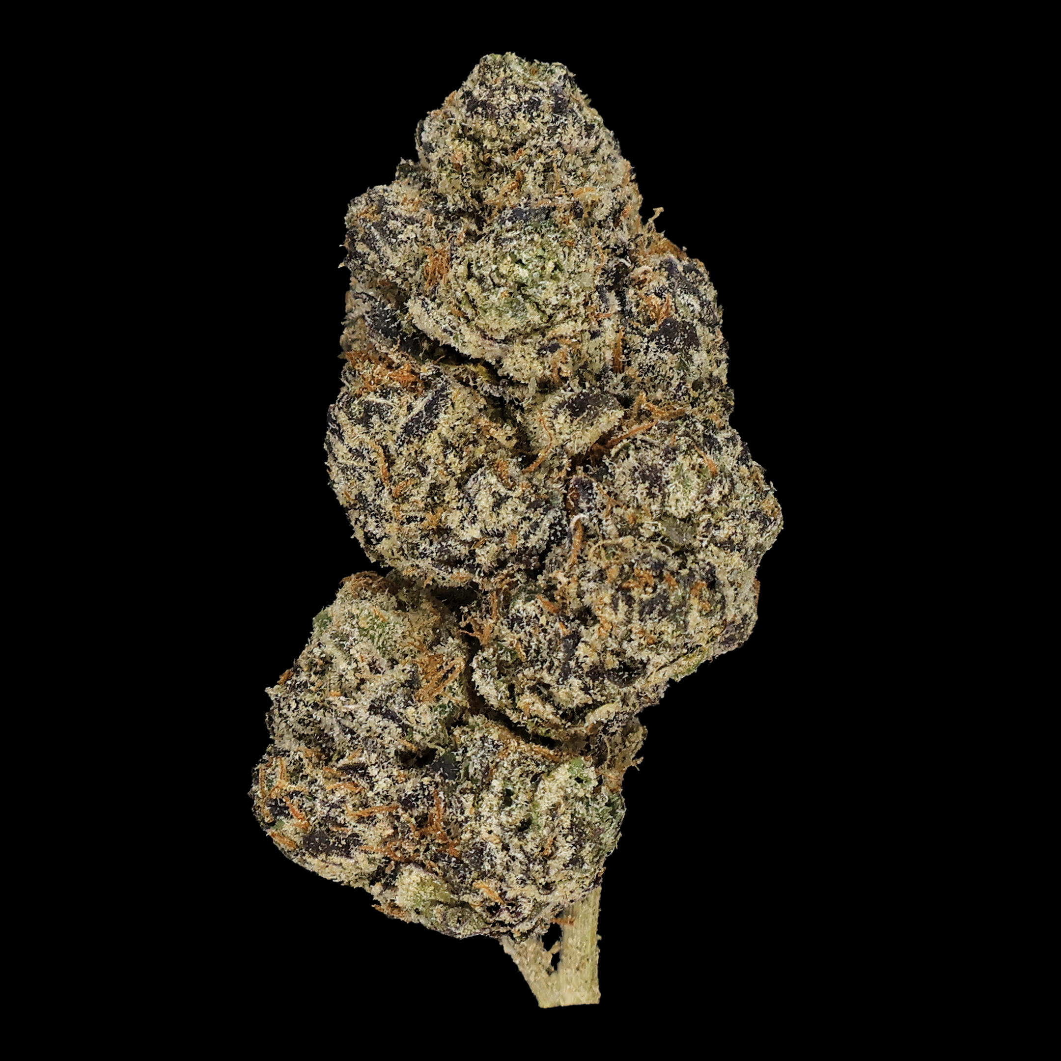 Blueberry Caviar THCa Flower