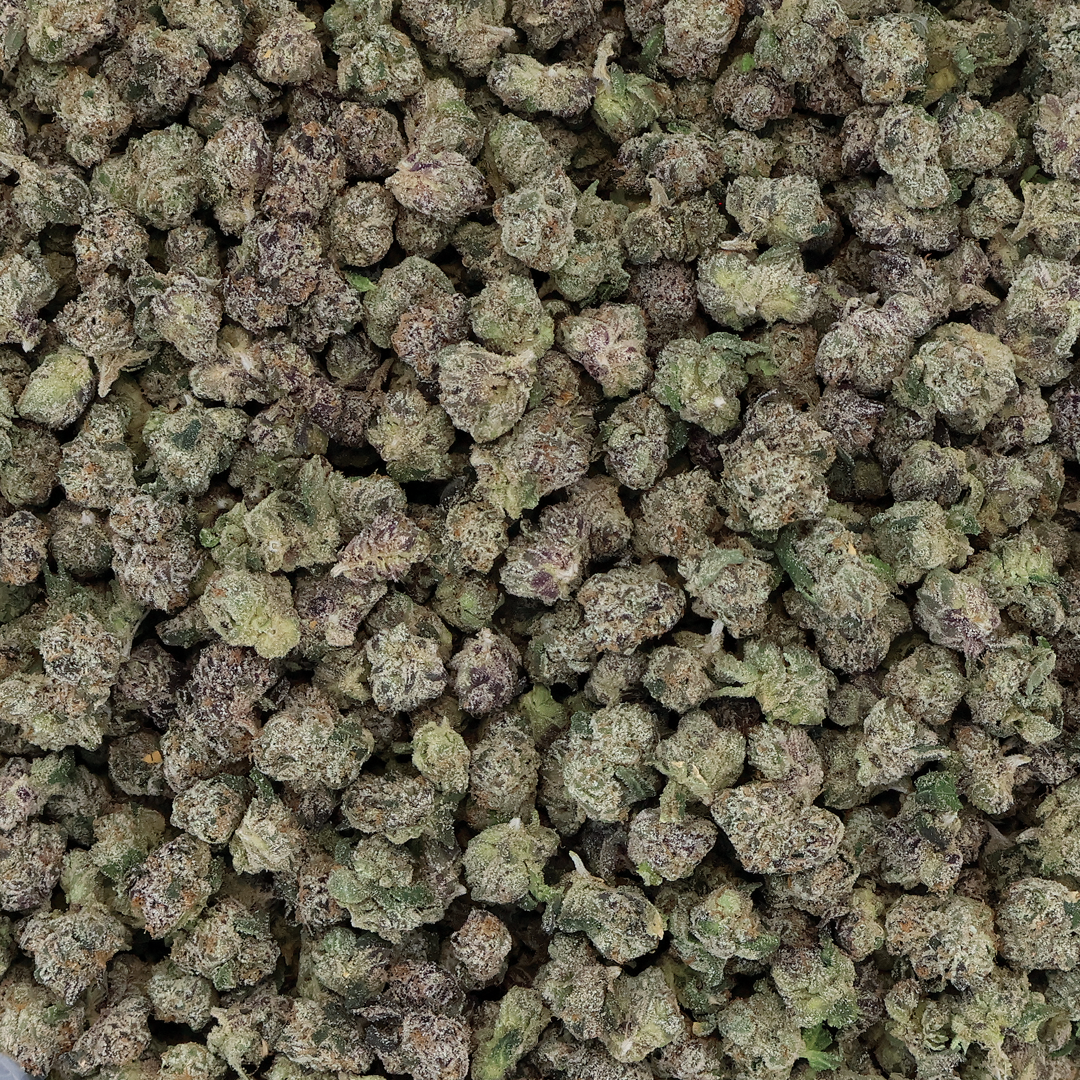 Flamingo Runtz THCa Smalls Flower