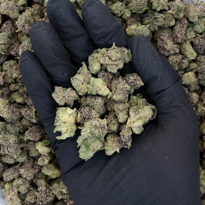 Platinum Fumez THCa Smalls Flower