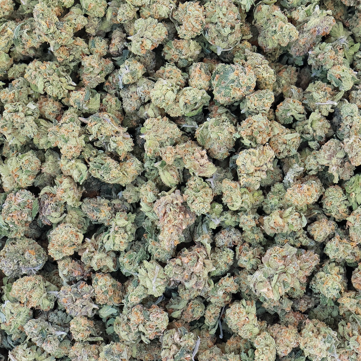 Jack Herer THCa Smalls Flower