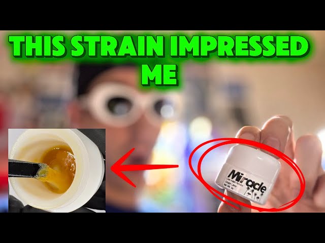 Reviewing Jungle Lava THCA Hash Rosin from Miracle of the Desert!