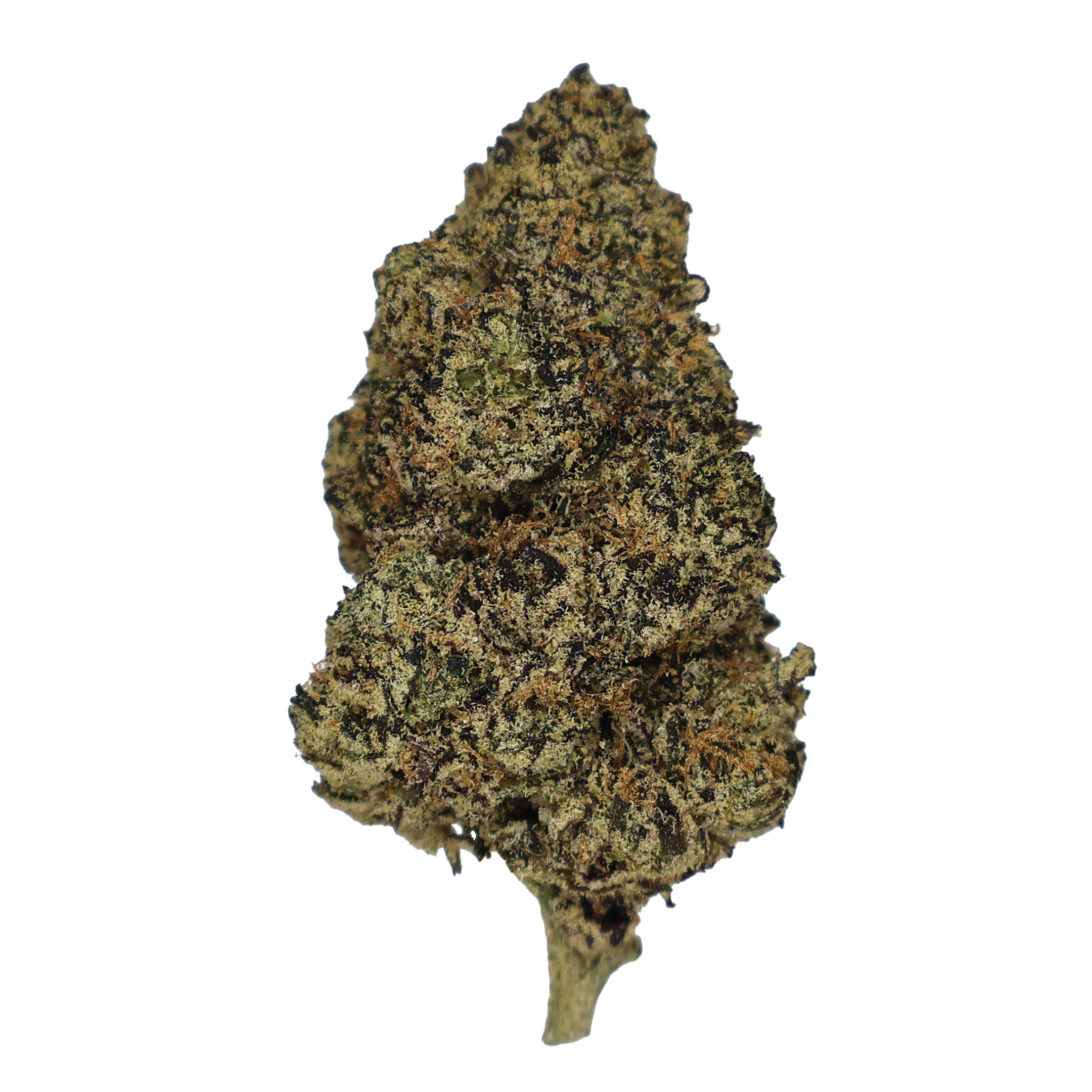 41 Runtz THCa Flower - Miracle of The Desert