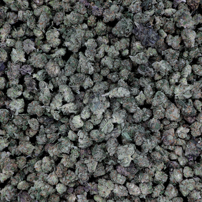 Purple Cream THCa Smalls Flower