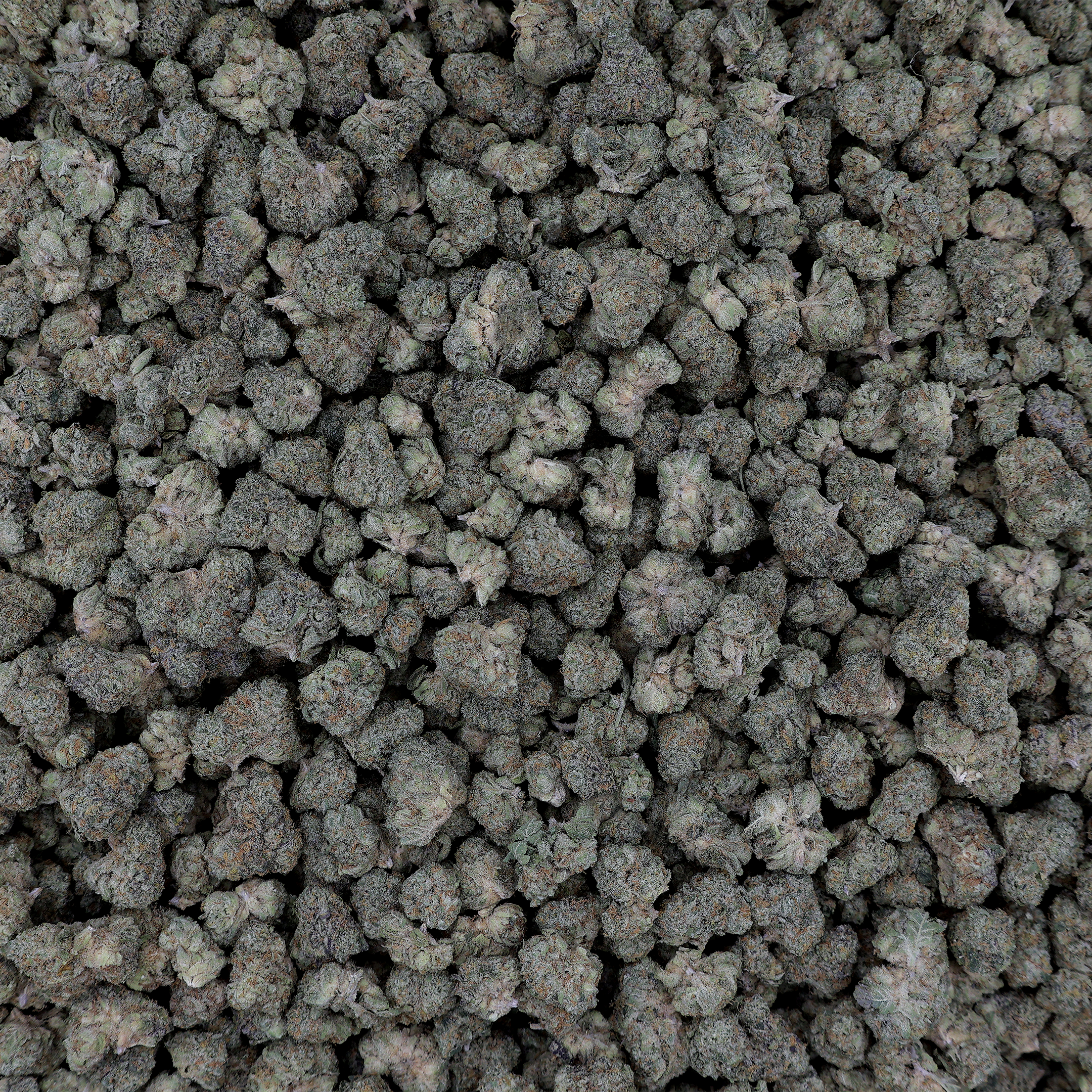 Animal Sherb Mints THCa Smalls Flower