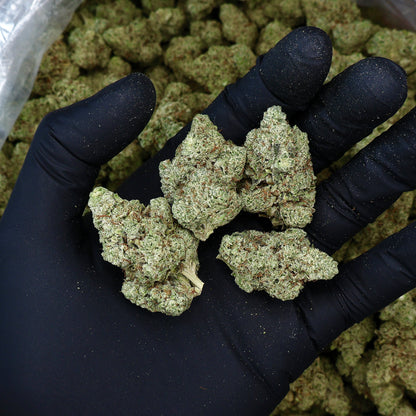 Mystic Glue
