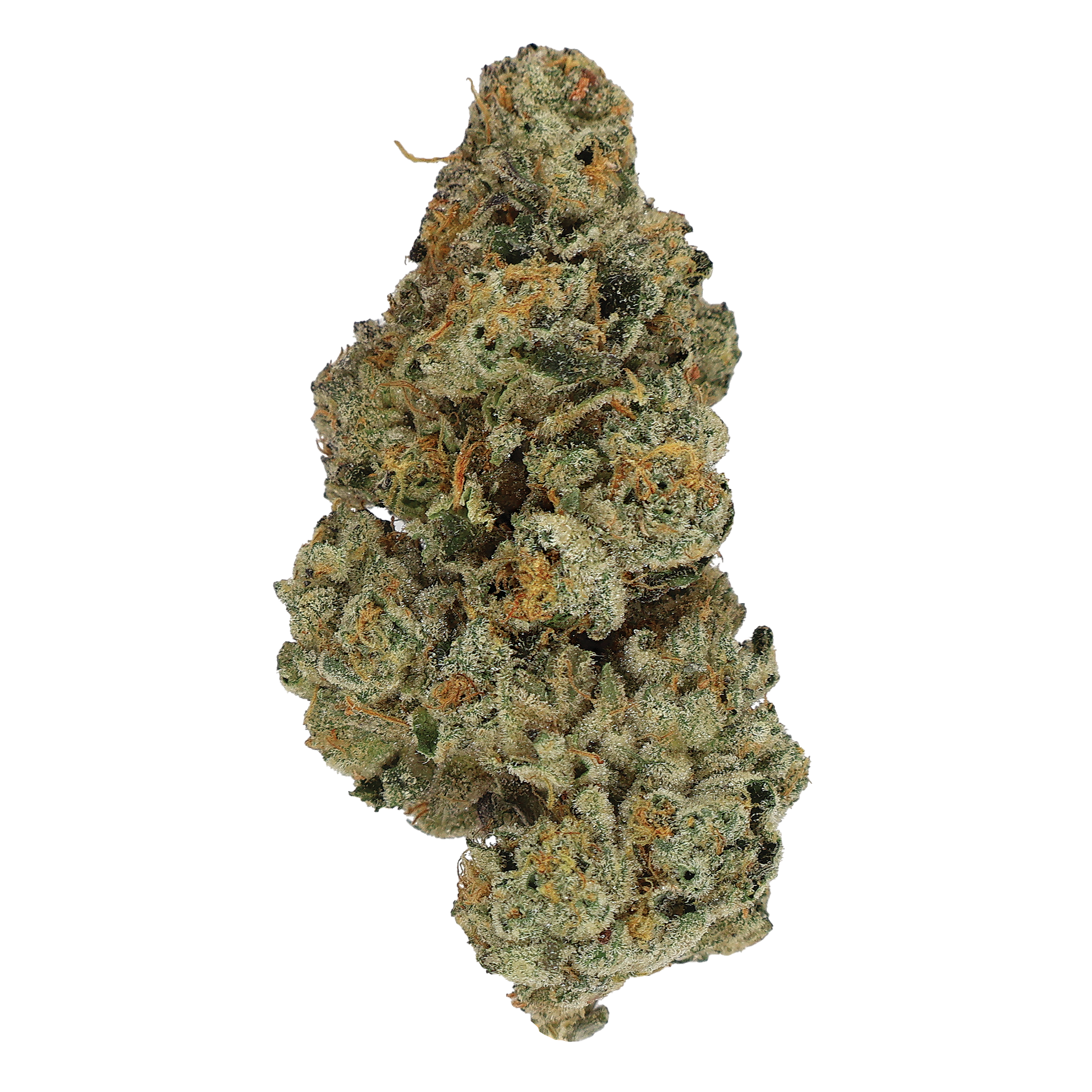 Monster Cookies
