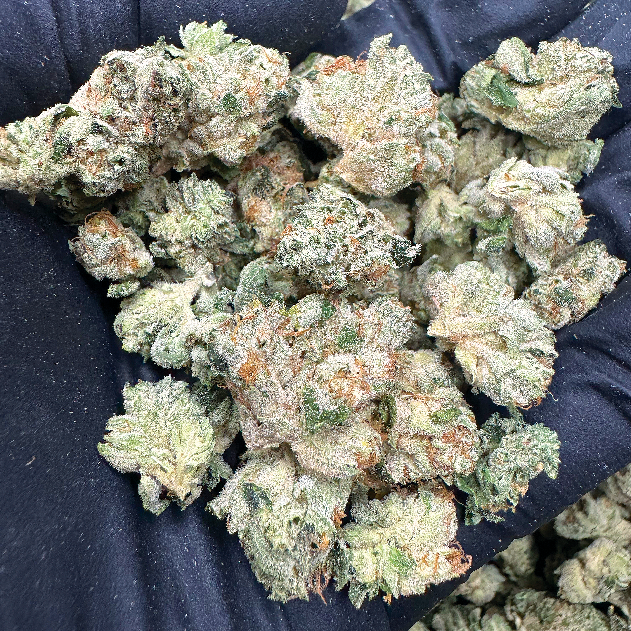 Alien OG Smalls