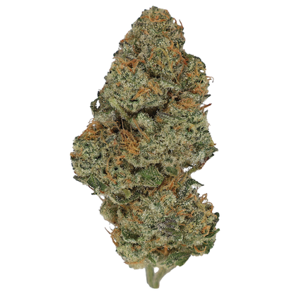 Premium Flower Sample Pack