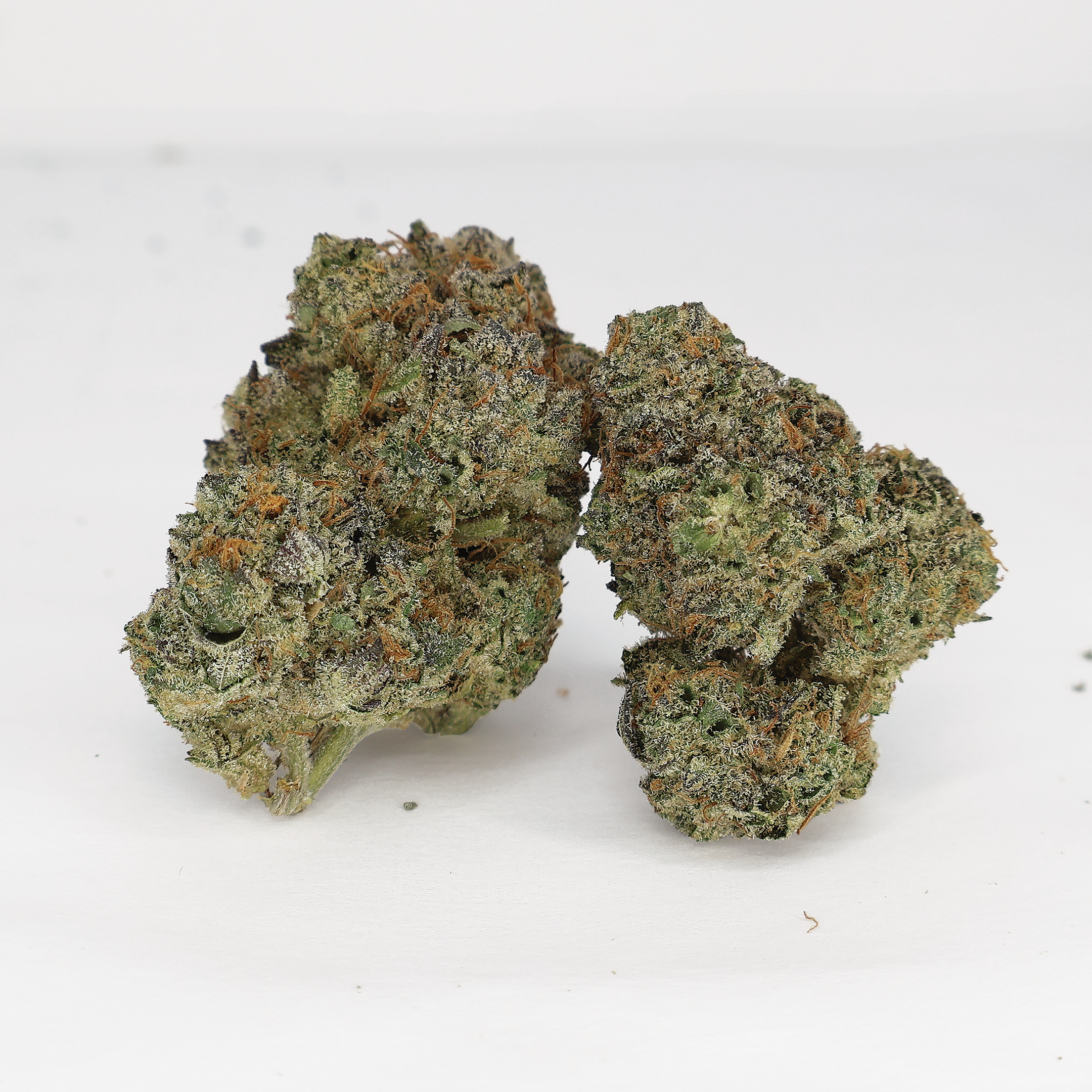 Runtz x Animal Mints