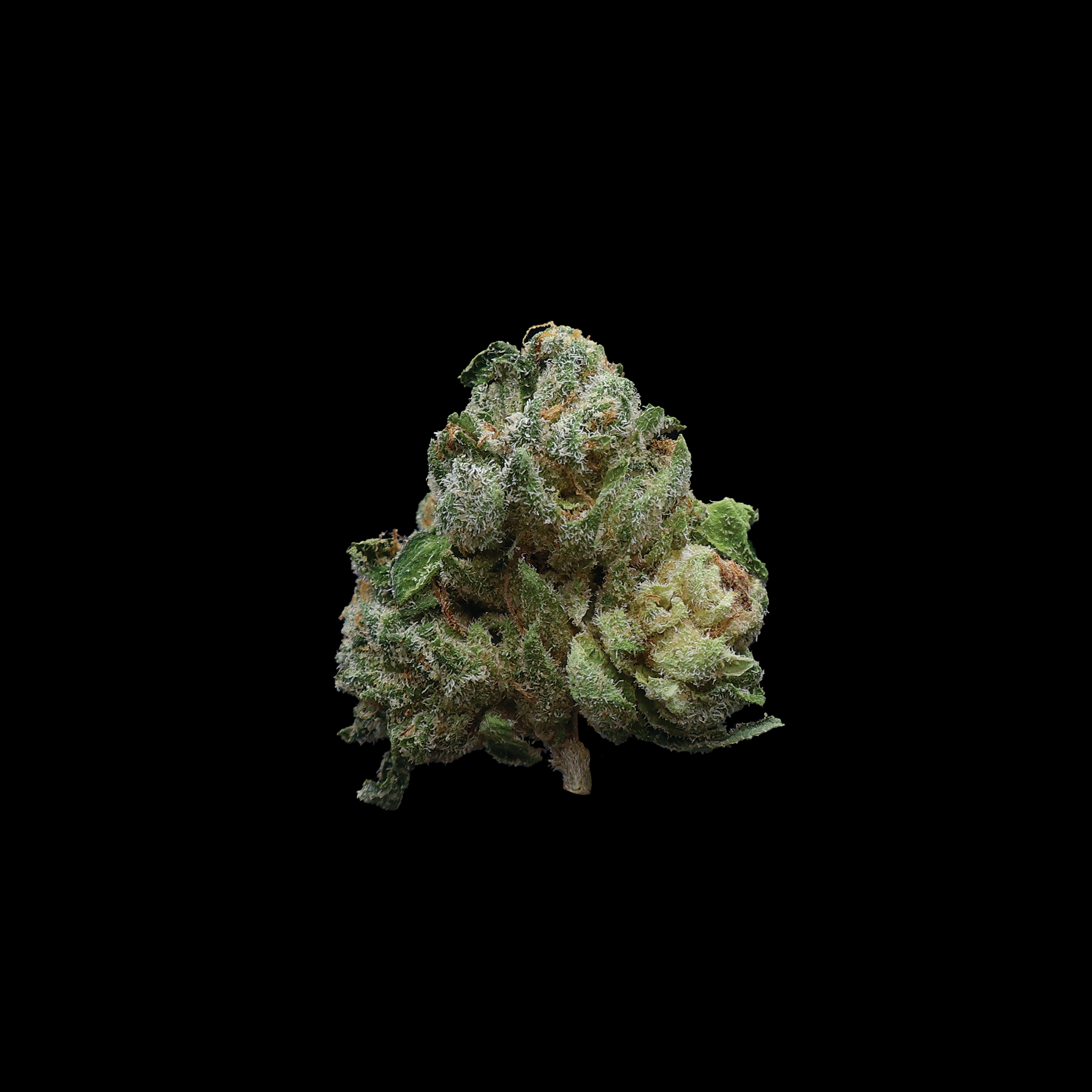 Big Z THCa Smalls Flower