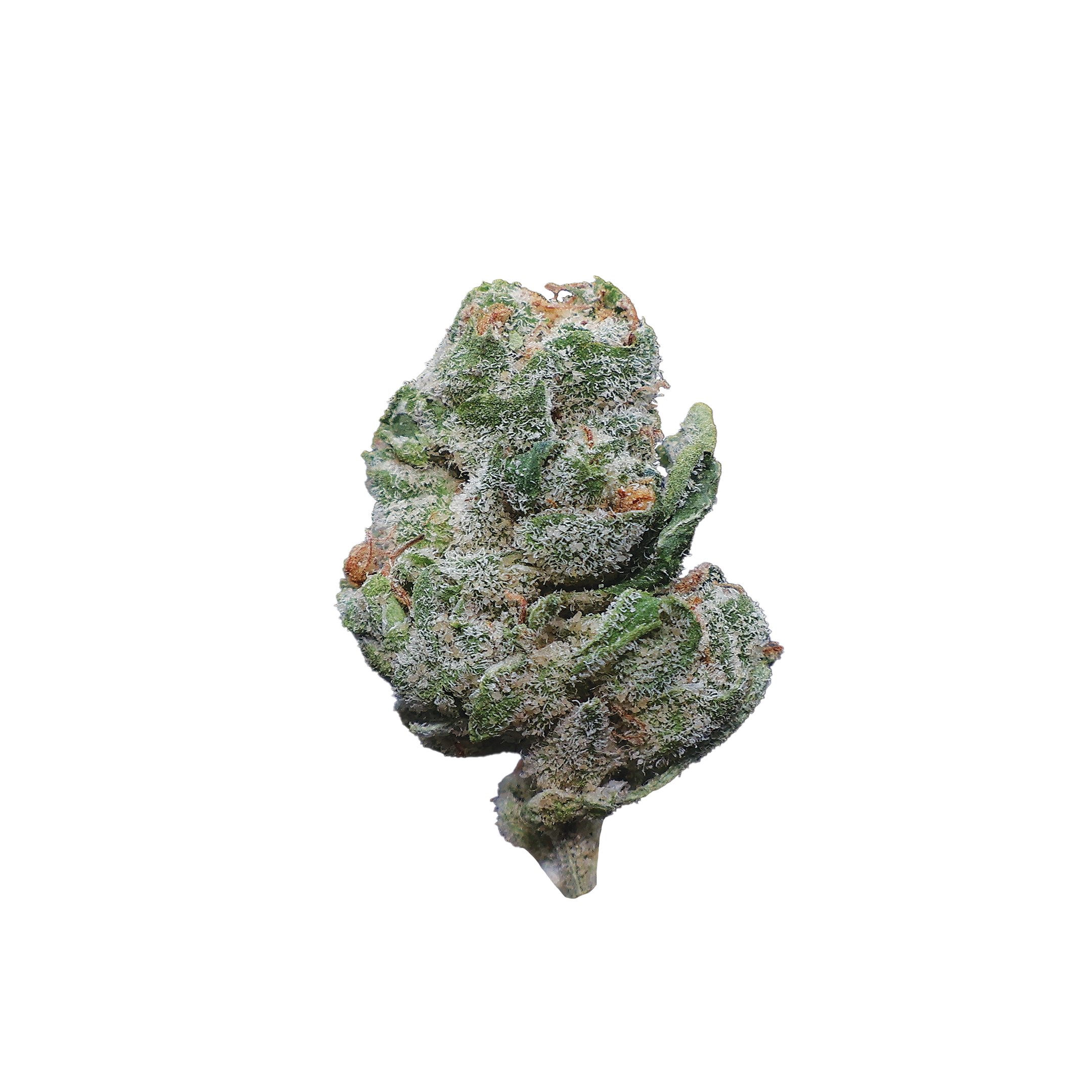 Black Amber THCa Smalls Flower