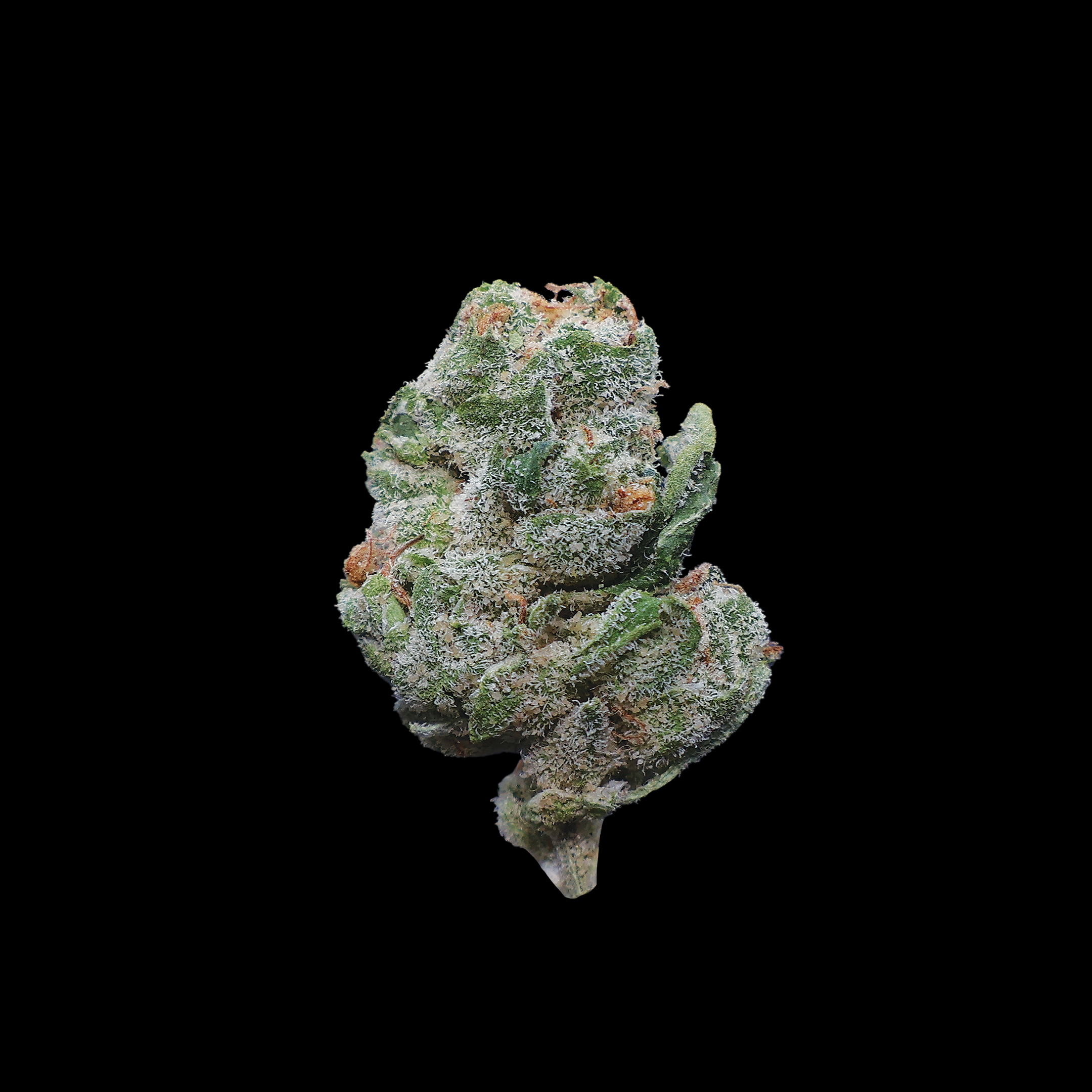 Black Amber THCa Smalls Flower
