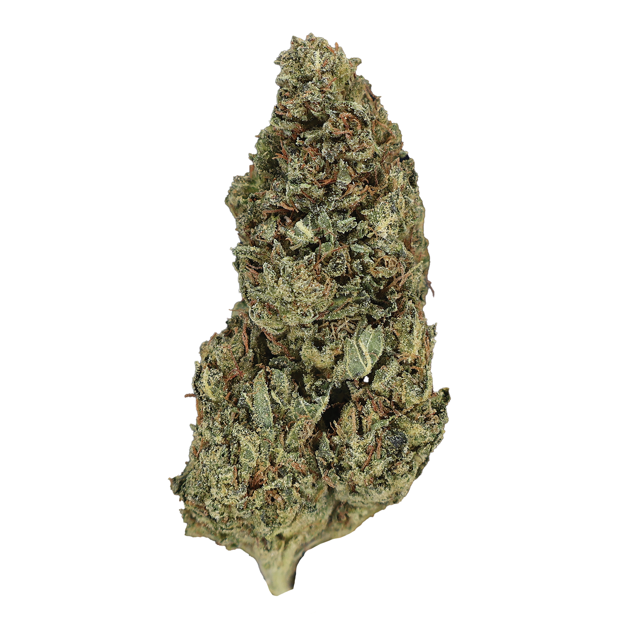 Bubba Trainwreck THCa Flower - Miracle of The Desert