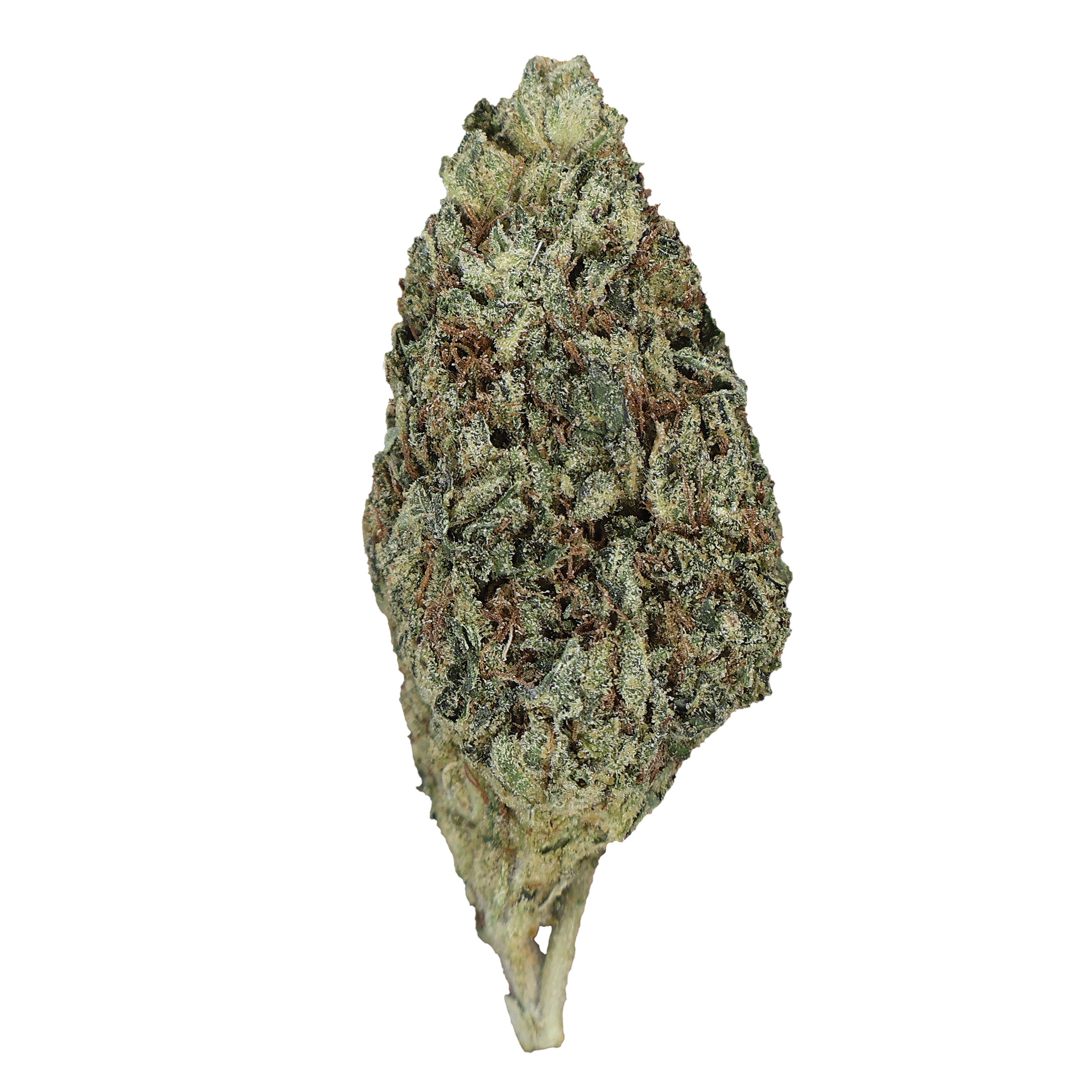 Bubba Trainwreck THCa Flower - Miracle of The Desert