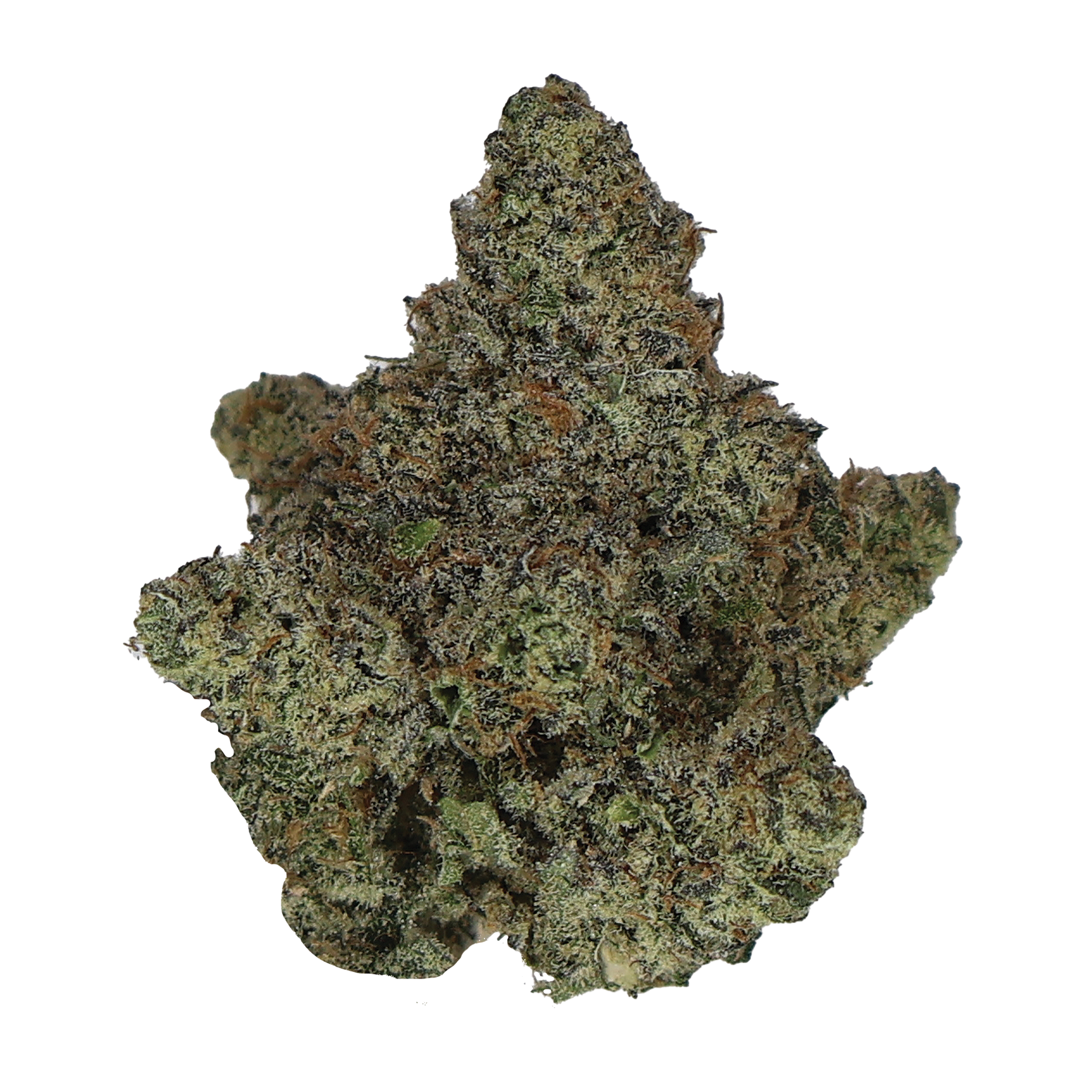 Candy Candy THCa Flower - Miracle of The Desert