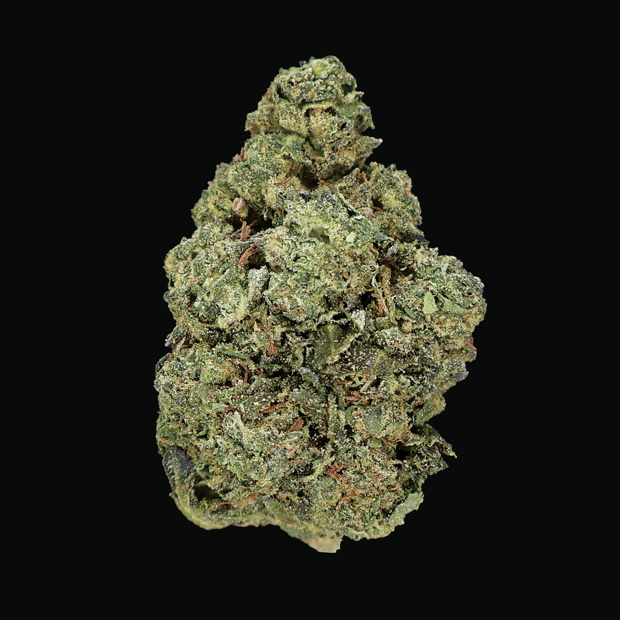 Candy Runtz THCa Flower - Miracle of The Desert