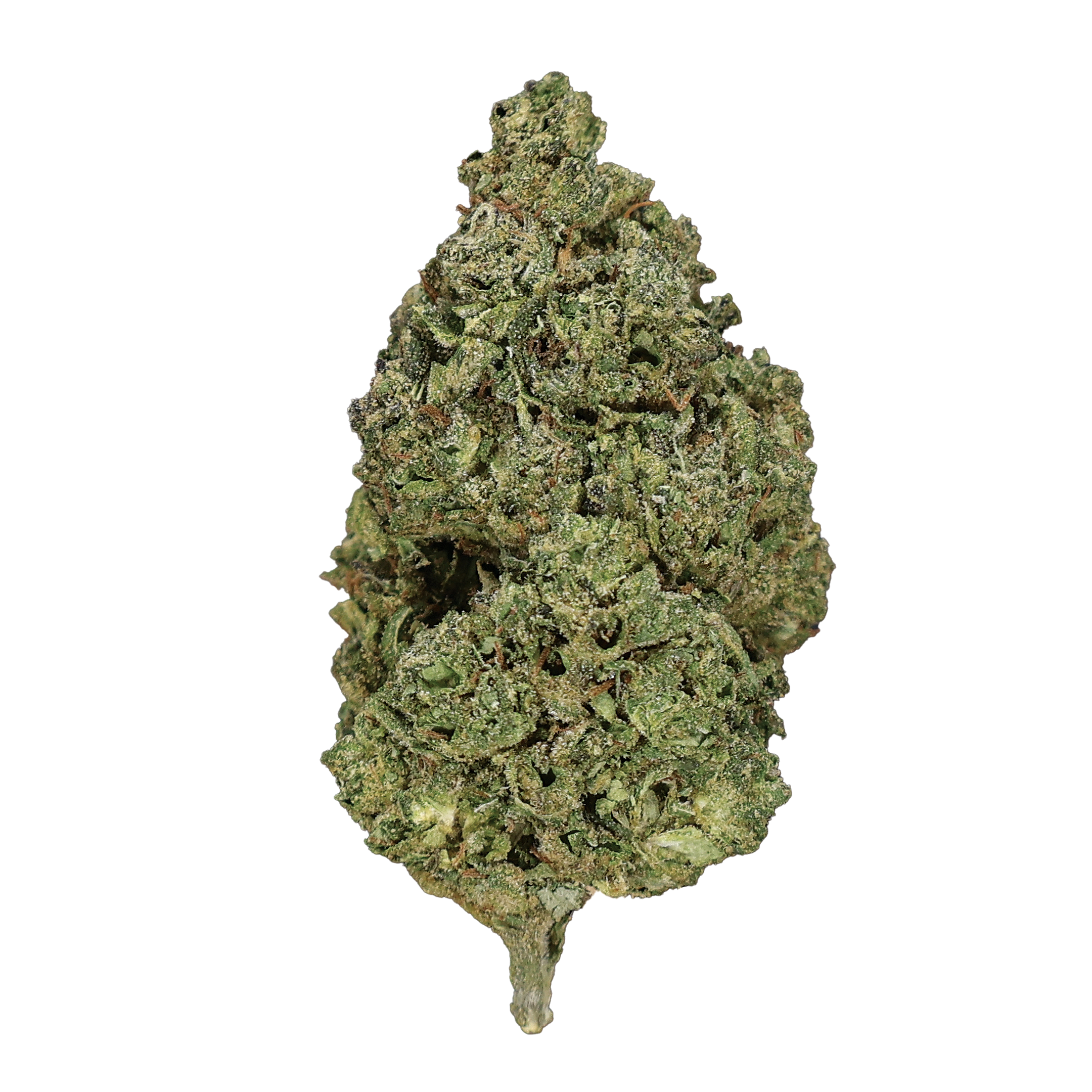 Candy Runtz THCa Flower - Miracle of The Desert