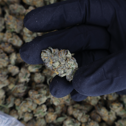 Carbon Fiber THCa Smalls Flower