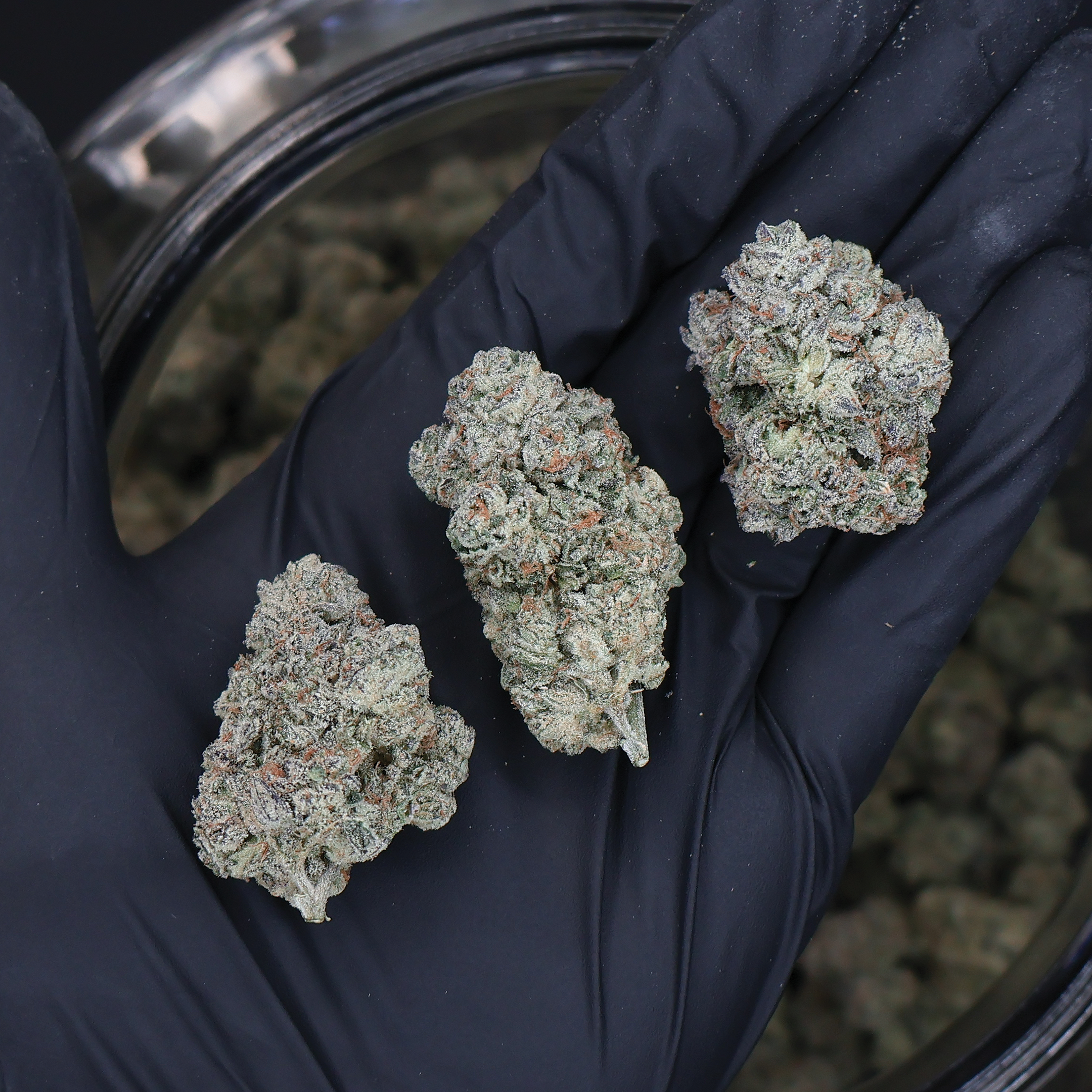 Carmelo THCa Flower - Miracle of The Desert