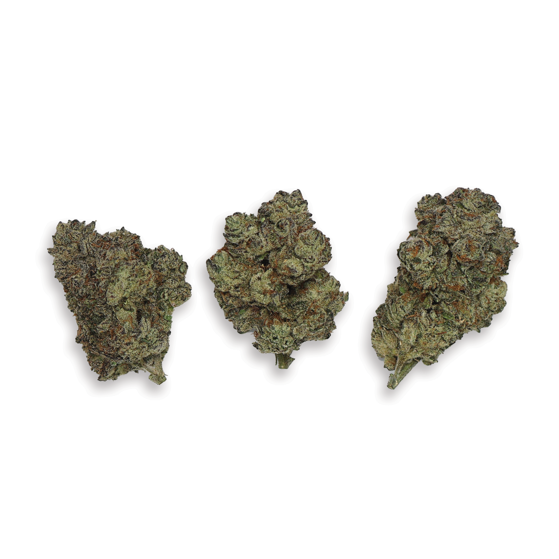Premium Flower Sample Bundle (Mix and match, 3-pack) - Miracle of The Desert