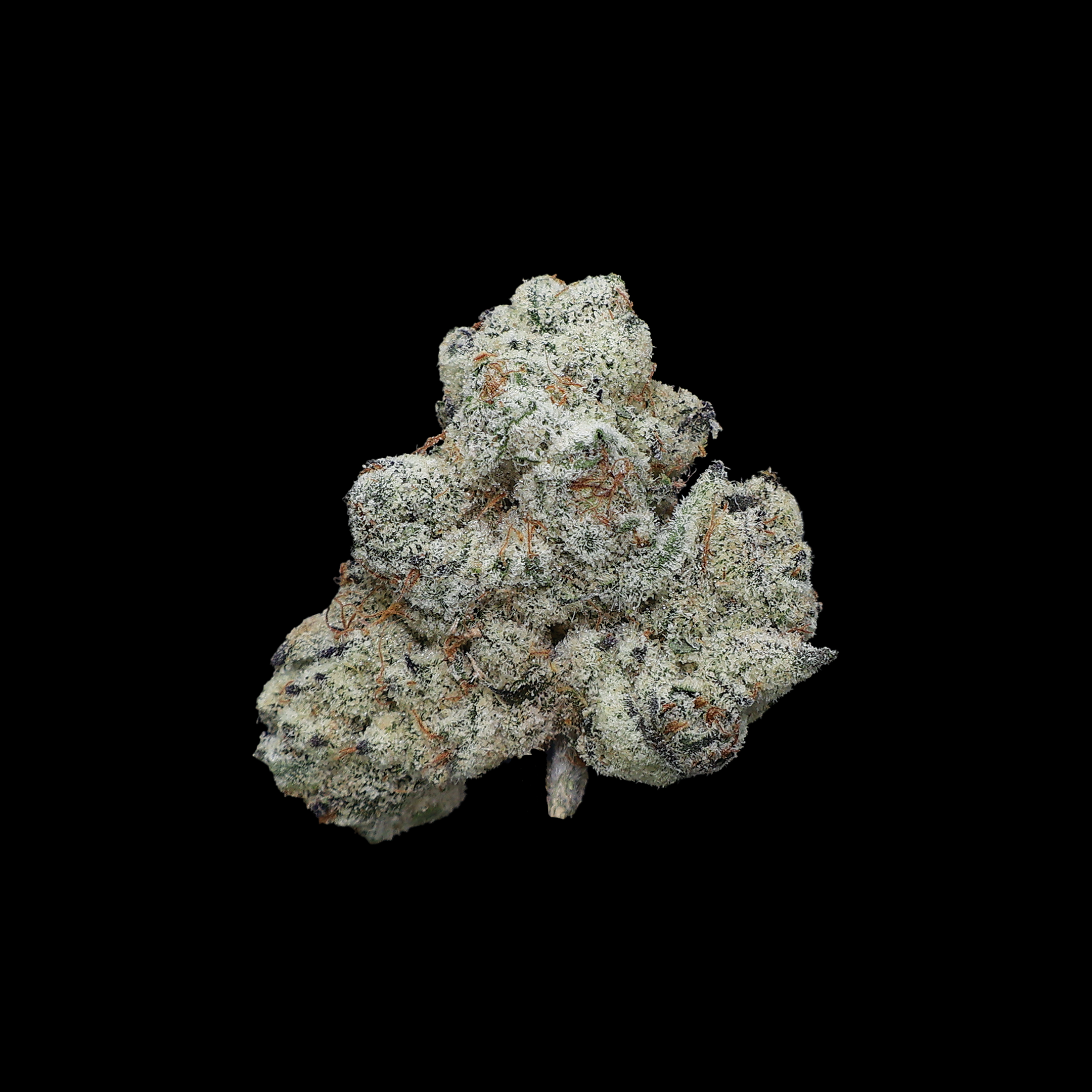 DJ Icy THCa Flower - Miracle of The Desert