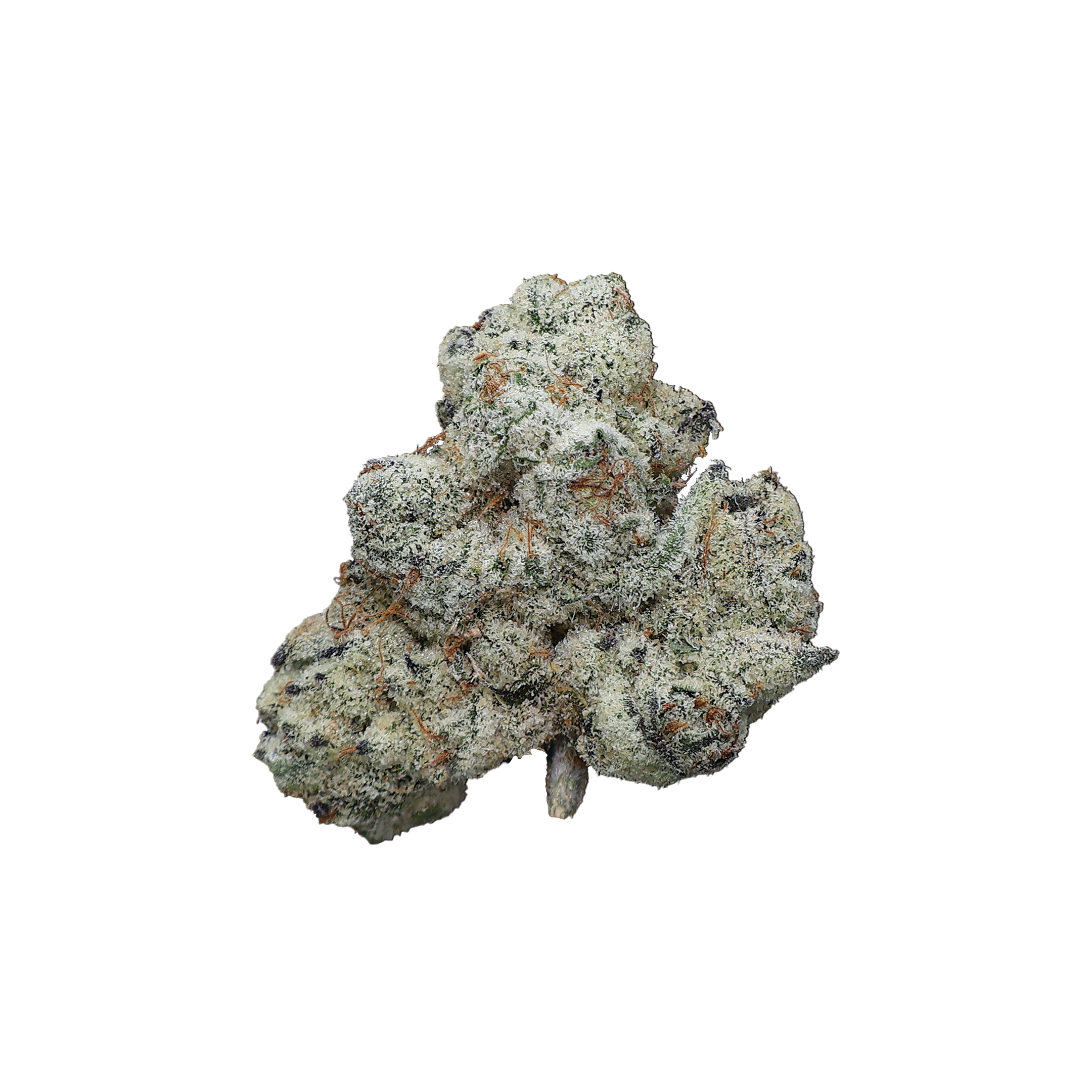 DJ Icy THCa Flower - Miracle of The Desert