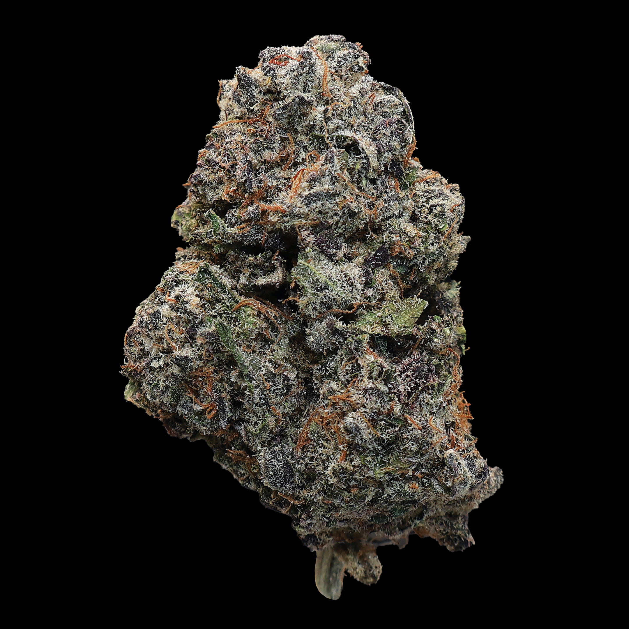 Forbidden Fruit THCa Flower