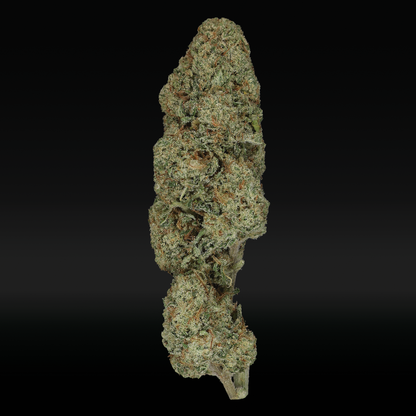 Guava Dawg THCa Flower